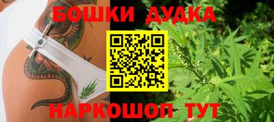 jwh Новокубанск